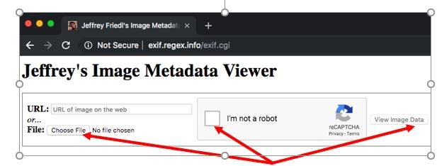 metadata viewer