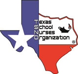Texas School Nurses Organization (TSNO)