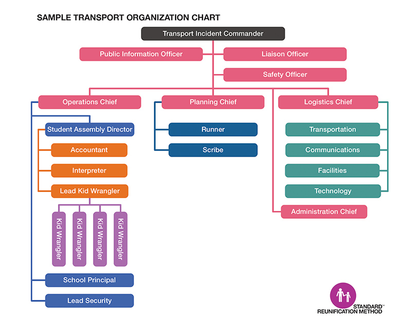 sample transportation organization chart